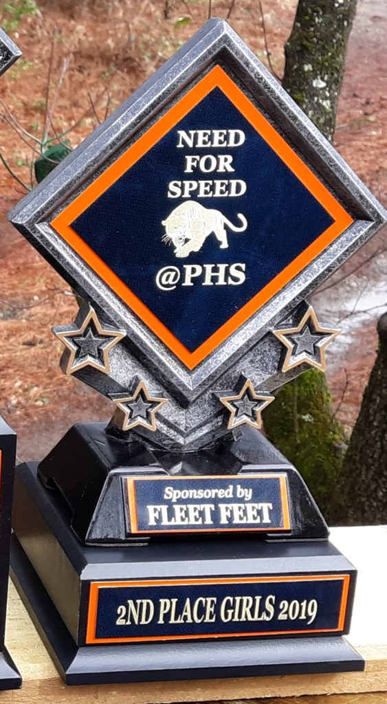 Diamond Track Award 12in
